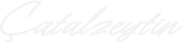 LOGOWEB-01