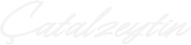 LOGOWEB-01
